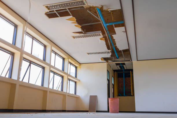 Best Water damage restoration near me  in Folcroft, PA