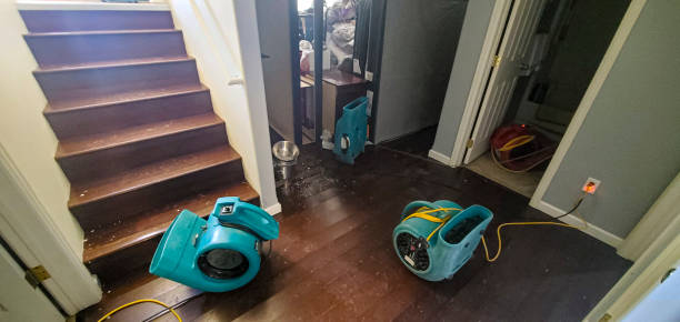 Best Flood restoration services  in Folcroft, PA