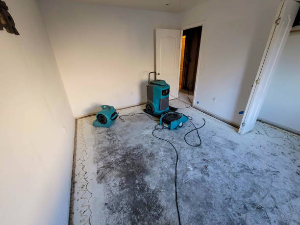 Best Fire Damage Restoration  in Folcroft, PA