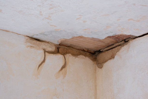 Best Water damage contractors near me  in Folcroft, PA