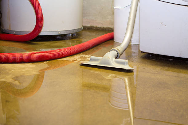 Professional Water damage restoration in Folcroft, PA