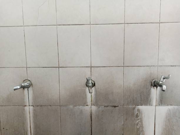 Best Basement water damage restoration  in Folcroft, PA