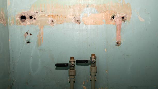 Best Ceiling water damage repair  in Folcroft, PA