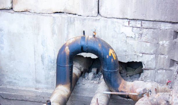Best Local water damage restoration  in Folcroft, PA