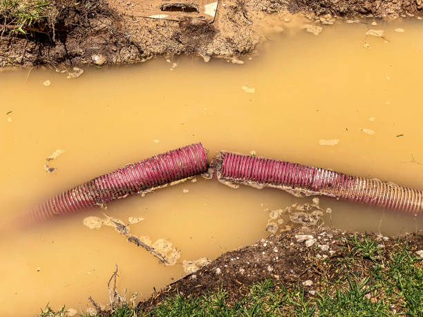 Best Residential water damage restoration  in Folcroft, PA