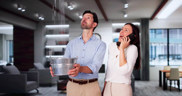 Best Water damage restoration near me  in Folcroft, PA