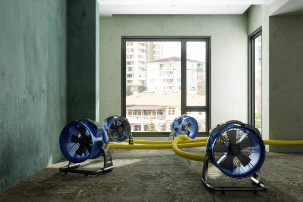 Best Fire Damage Restoration  in Folcroft, PA