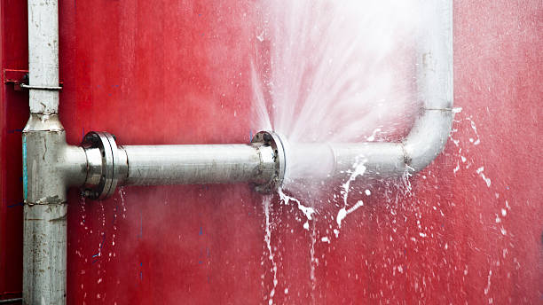 Best Flood damage cleanup  in Folcroft, PA