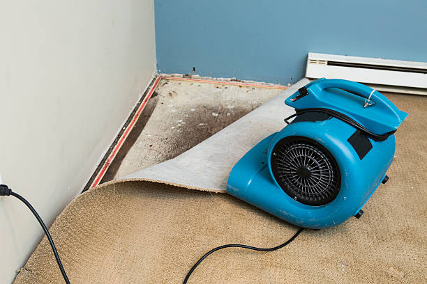 Best Water damage restoration insurance claims  in Folcroft, PA