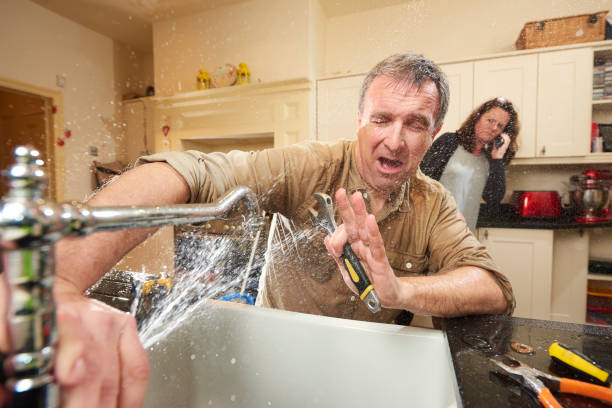Best Water damage cleanup near me  in Folcroft, PA